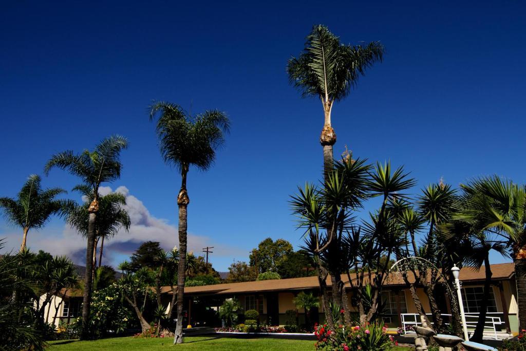 Palm Tropics Motel Глендора Экстерьер фото